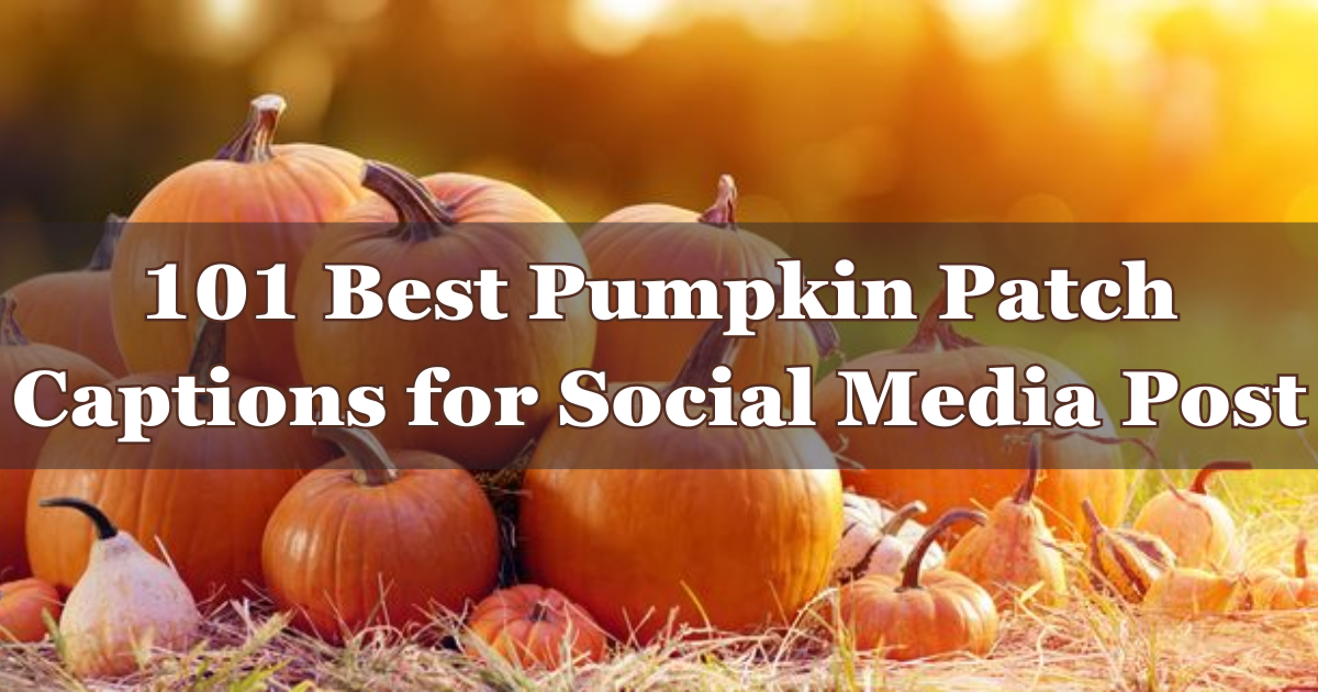 101 Best Pumpkin Patch Captions for Social Media Post