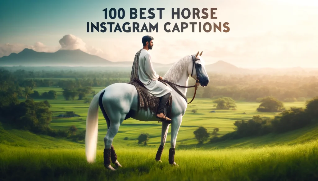 100 Best Horse Instagram Captions